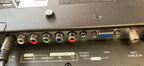 19” Insignia TV NS-19E310NA15 No Remote (x)